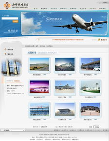 西部機場集團(tuán) 咨詢 旅游 生活 醫(yī)療 企業(yè)宣傳 案例展示 硅峰網(wǎng)絡(luò) 網(wǎng)站設(shè)計 軟件開發(fā) 微信建設(shè),西安最專業(yè)的企業(yè)信息化建設(shè)網(wǎng)絡(luò)公司
